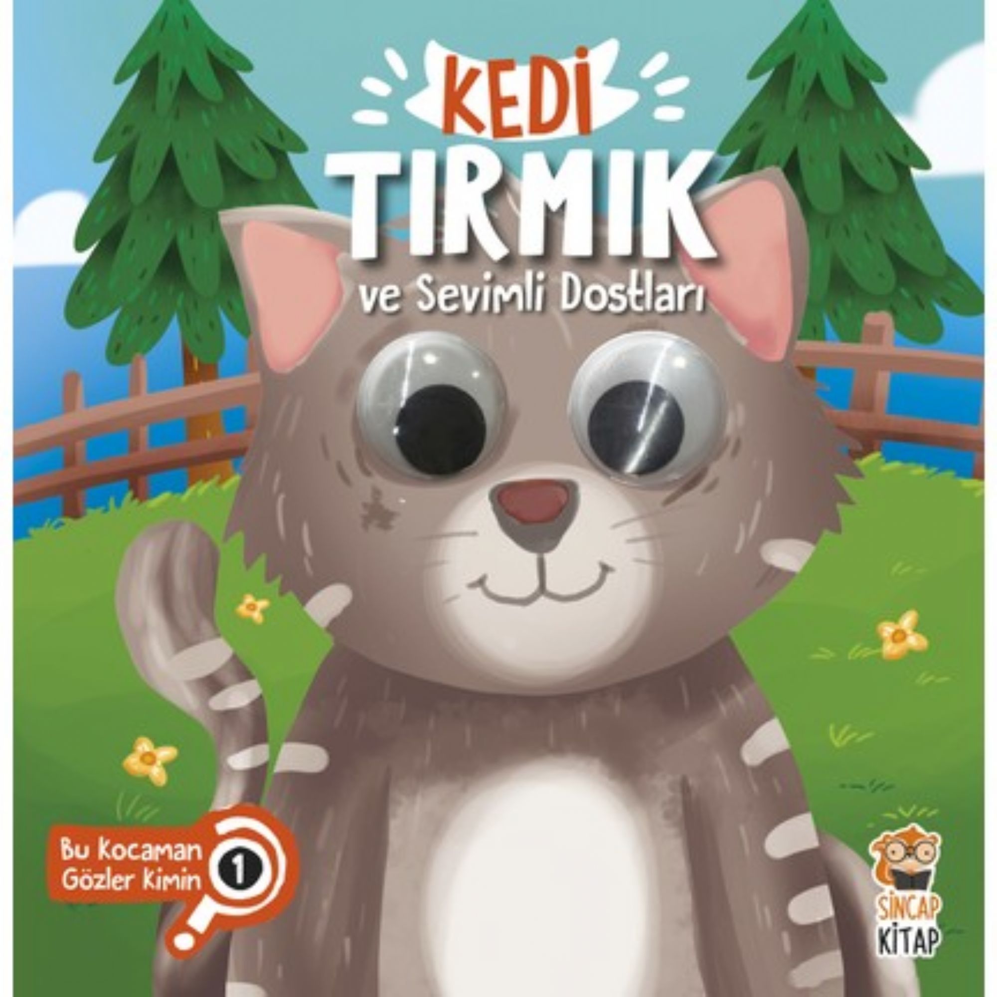 Kedi Tırmık ve Sevimli Dostları Bu Kocaman Gözler Kimin 1